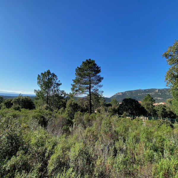 Offres de vente Terrain Pianottoli-Caldarello 20131